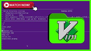Opening a Folder... in Vim?