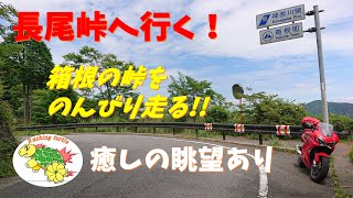 #85 「県道736号線を走って長尾峠に行ってみた！」【VFR800F】【徒然なるモトブログ】