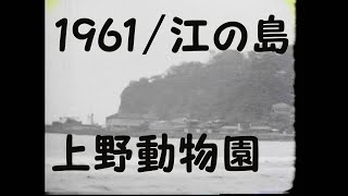 昭和３６年、江の島、上野公園、動物園１９６１