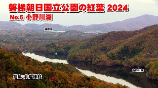 磐梯朝日国立公園の紅葉 2024「小野川湖」 福島：北塩原村