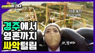 [라이브오늘_화제의 현장] 경주로 떠나는 (지독한) 가을 소풍 | KBS대구 211101