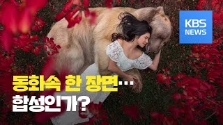 [오늘의 영상] 모델보다 더 모델같은 러시아 ‘불곰’ / KBS뉴스(News)