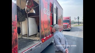 VIDEO: Budweiser Clydesdales arrive