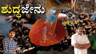 GLIMPSE OF PROCESSING HONEY FROM HONEYBEE | COLLECTION OF PURE HONEY|🐝| ಶುದ್ಧ ಜೇನು ಸಂಗ್ರಹಣೆ | INFO