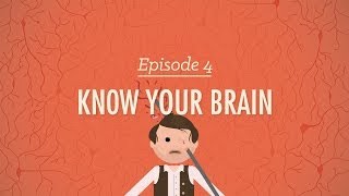 Efendinle Tanış: Beynini Tanımak - Crash Course Psikoloji #4