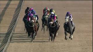 20200624 Hollywoodbets Scottsville express clip Race 5 won by BAYVIEW EXPRESS