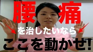 【腰痛　体操】頑固な腰痛を改善させるための肩甲骨体操　−仙台　腰痛−