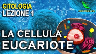 La CELLULA EUCARIOTE  -Citologia Lezione 1