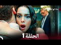 ماذا لو احببت كثيرا الحلقة 1 (Arabic Dubbed)