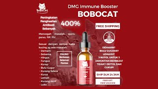 BoBoCat DMG Immune Booster Supplement Cat Vitamin Kucing Ubat Selsema Kucing Ubat Bulu Gugur Kucing