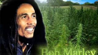 Bob Marley and the Wailers - Three Little Birds