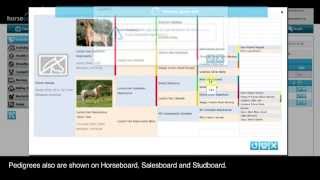 Horsecount: Pedigree
