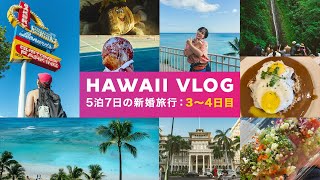 5泊7日のハワイ旅行3~4日目！絶景ホテル・モアナサーフライダーに宿泊！マノアの滝で疲れた体をカフェとハワイグルメで癒す！最後は絶品ポケで〆る！【Vlog】【最新】