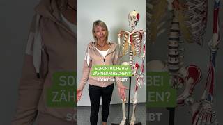 Soforthilfe bei Zähneknirschen? #tjmotion #ganzheitlich #zähneknirschen