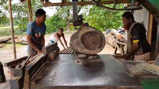 $1,000 Tree Dangerous Cutting Back to Back - Wood Cutting Dangerous Sawmill Bangladesh