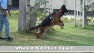 Eastwind Training (Protection Course)