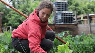 Solidarische Nachbarn: Erfahrungen Freiburger Ernährungsakteur:innen während der Corona-Krise