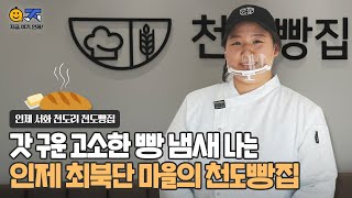 🍞 갓 구운 고소한 빵 냄새 나는 인제 최북단 마을 천도빵집 🍞