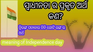 ସ୍ୱାଧୀନତା ର ପ୍ରକୃତ ଅର୍ଥ କଣ?|| ତ୍ରିରଙ୍ଗ ପତାକାର ଅର୍ଥ||meaning of independence day,