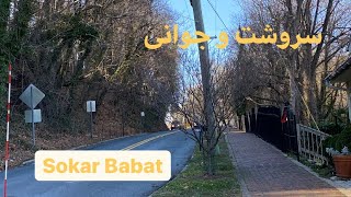 Nature سروشت و جوانی