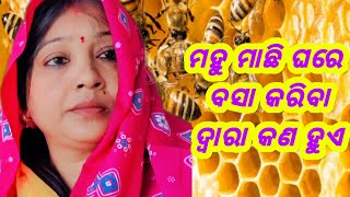 ମହୁ ମାଛି ଘରେ ବସା କରିବା ଦ୍ୱାରା କଣ ହୁଏ  | mahumachi ghare basa Kariba swara kana huae #odia gyan