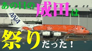 【成田空港】ドキュメント10.16”最後のカメさん”が成田へ来た日！ANAフライングホヌ3号機初飛来に大盛り上がりした成田の一日を追った！（前編）