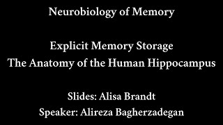 Bonus Lecture: The Anatomy of the Human Hippocampus
