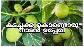 കടച്ചക്ക കൊണ്ടൊരു നാടൻ ഉപ്പേരി (breadfruit side dish)