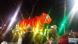 Taronga Zoo Centenary Light Parade Live Unedited  - Saturday 15th October 2016