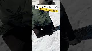 春かぐらのビッグキッカーを自撮りしてみました！