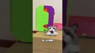 这些包包也太搞笑了吧！#猫咪的迷惑行为 #萝卜刀包包