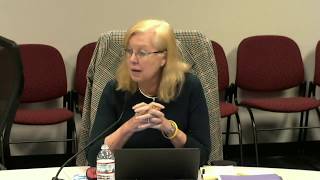 FCPS School Board Work Session 11-13-17 Budget