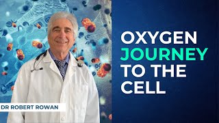 Oxygen Journey to the Cell