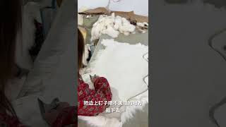 Sheep skin fur integrated product home carpet floor mat sofa pad.