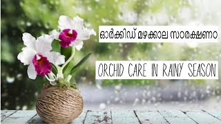 orchid care in rainy season/ഓർക്കിഡ് മഴക്കാല സഠരക്ഷണഠ in Malayalam Ep:16