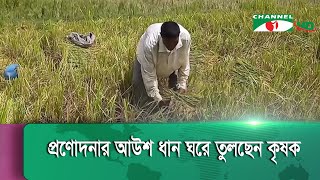 খাগড়াছড়িতে প্রণোদনার আউশ ধান ঘরে তুলছেন কৃষক