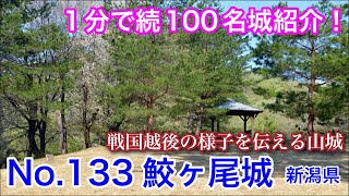 【1分で続100名城紹介】No.133　鮫ヶ尾城 #お城 #新潟県