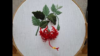 Spider Hibiscus (ঝুমকো জবা) - by Stitch and Crochet