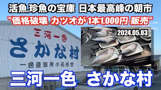 【三河一色さかな村 価格破壊 カツオが1本1,000円-販売】あばお 海鮮ちゃんねる #223 2024.05.03