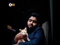 Most beautiful Nasheed Urdu / Only Vocal  / Cat🥰🥰