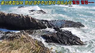 [울산종합일보] 경주 주상절리 파도소리