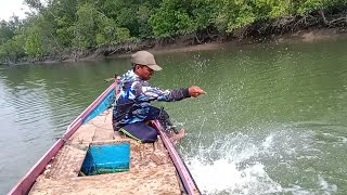 PANEN STRIKE BERUNTUN BARRAMUNDI