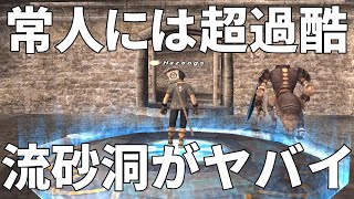 【FF11】超劣悪な環境でこそ光るベテラン冒険者の動き