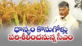 ధాన్యం రైతుల సమస్యలు తెలుసుకోనున్న సీఎం | CM Chandrababu to Meet Farmers | Edupugallu