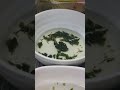 2023 #Seaweed #soup from #Japan Taste of the sea in a teaspoon and just add hot water