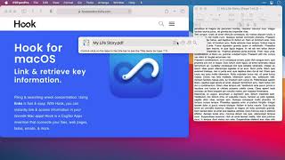 How to invoke the Hook productivity window
