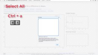 Copy+Pasting Data Into StatKey (No sound)