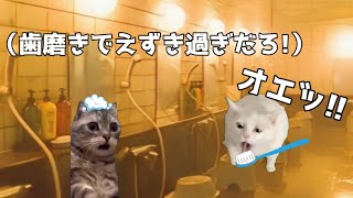 スポーツジムの風呂が思ったより酷かった話　#猫ミーム #猫マニ #お風呂