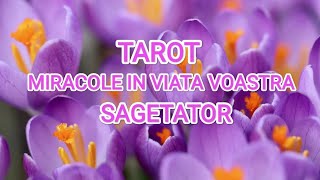 💚 SAGETATOR 💚MIRACOLE IN VIATA VOASTRA 💚 VERSIUNEA VOASTRA IDEALA 💚#tarot #sagetator