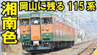 【JR西日本岡山支社に残る湘南色の115系！】